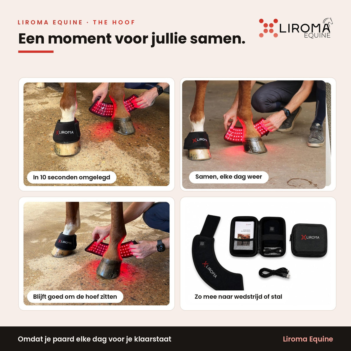 Sfeerplaat met vier momenten: The Hoof omleggen, gebruiken en meenemen