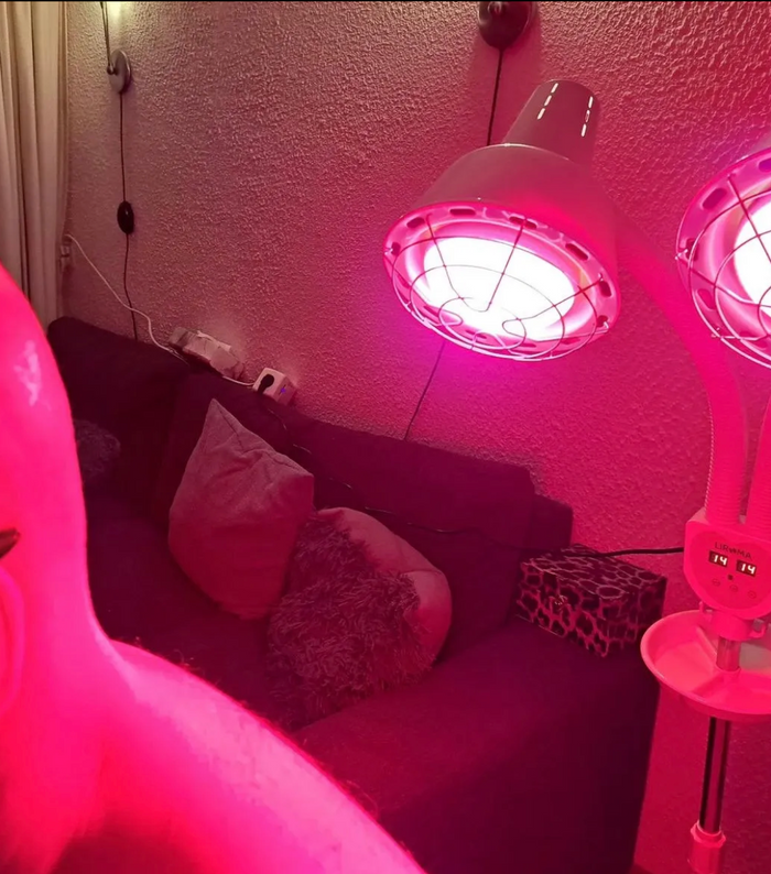 Infrarood lamp dubbele kop gebruiken