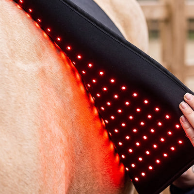 The Flex (Rood licht therapie) - Rood licht therapie voor het lichaam van het paard