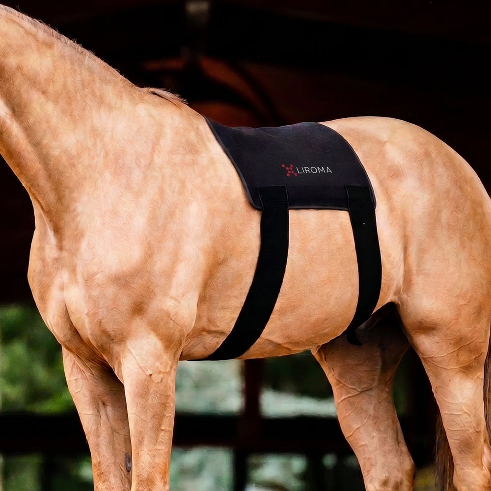 Roodlichttherapie voor jouw paard
