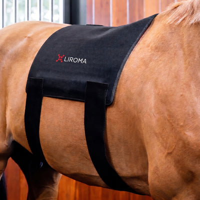 The Flex (Rood licht therapie) - Rood licht therapie voor het lichaam van het paard